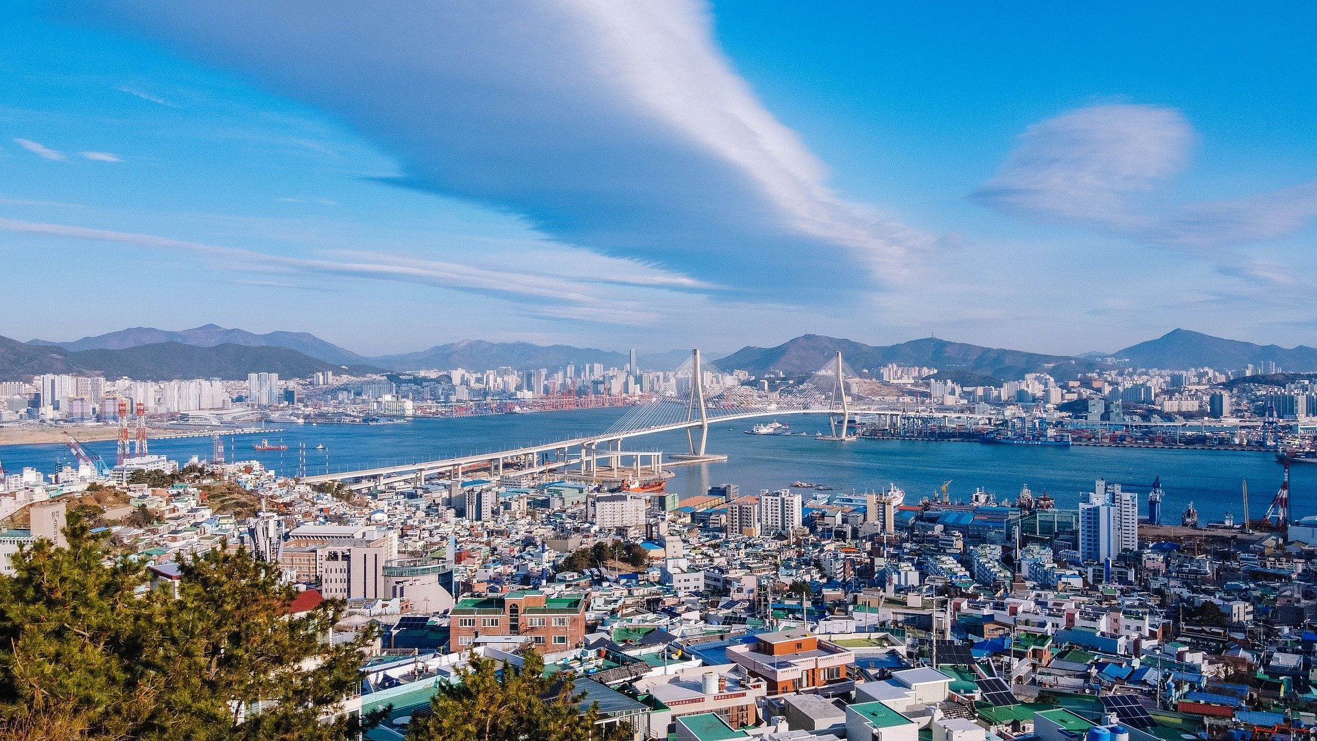 앉아서 세계 속으로